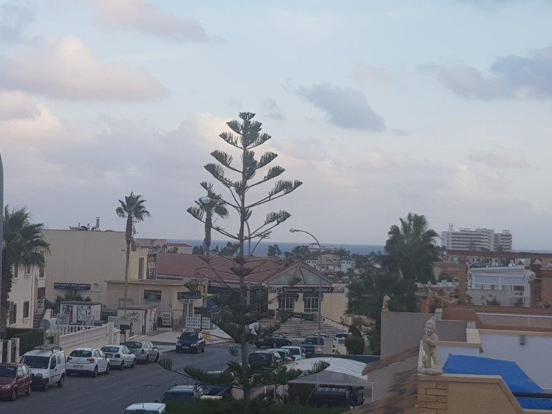 Dúplex_Playa_Flamenca,_Duplex_Playa_Flamenca,_Дуплекс_Плайя_Фламенка